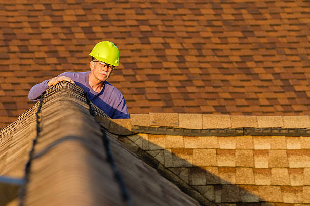Best Shingle Roofing Installation  in Tchula, MS